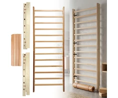 Wall Bars inSPORTline Dualmar 250 x 90 cm