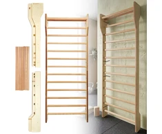 Wall Bars inSPORTline Shapemar 220 x 90 cm