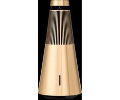 Bang &amp; Olufsen Beosound 2 3rd Gen Gold Tone