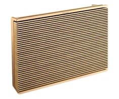 Bang &amp; Olufsen Beosound Level Nešiojama Namų Kolonėlė, (Gold Tone Alu/Light Oak), su WiFi ir Google balso asistentu