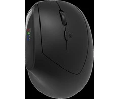 CANYON pelė MW-25 Ergonomic LED AA Dual mode Wireless Juodas