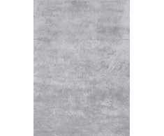 Fargotex Kilimas CANYON 200X300