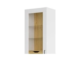 Szynaka Trendline Vitrina BARRIS 10