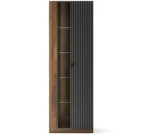 Szynaka Trendline Vitrina RADIUM 11