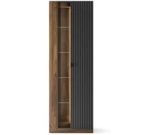 Szynaka Trendline Vitrina RADIUM 11