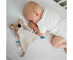 Baby Ono Babyono migdukas koala charlie 1559
