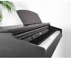 Artesia DP-3+ skaitmeninis pianinas, juodas