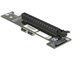 DeLOCK conv. 2xSFF-8654> PCIe x16