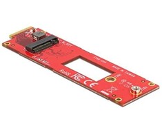 Delock keitiklis EDSFF E1.S į M.2 Key M lizdas NVMe