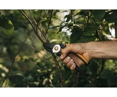 Fiskars Solid™ sekatorius atraminiais ašmenimis L (P361) 1057165