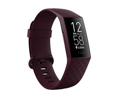 fitbit 1
