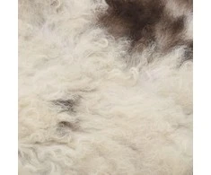 Avies kailis, įvairių spalvų, 70x100cm