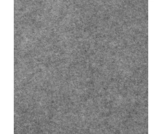Baseino paklotas, pilkas, 550cm, poliesterio geotekstilė