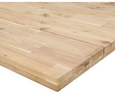 Darbastalis, 100x60x(73-99,5)cm, akacija, stačiakampis