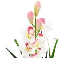 Dirbtinė Cymbidium orchidėja su vazonu, 100cm, žalia