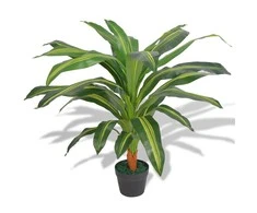 Dirbtinė Dracena su vazonu, 90 cm, žalia