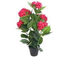 Dirbtinė hortenzija su vazonu, 60 cm, raudona