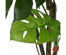 Dirbtinė monstera su vazonu, 170 cm, žalia