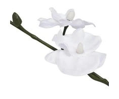 Dirbtinė orchidėja su vazonu, 30 cm, balta
