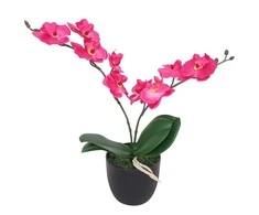 Dirbtinė orchidėja su vazonu, 30 cm, raudona