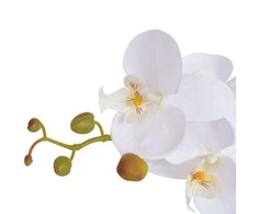 Dirbtinė orchidėja su vazonu, 65 cm, balta