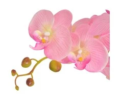 Dirbtinė orchidėja su vazonu, 65 cm, rožinė