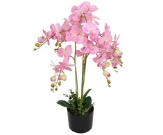 Dirbtinė orchidėja su vazonu, 75 cm, rožinė