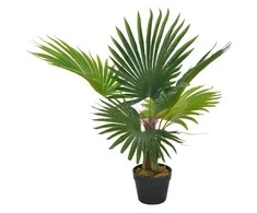 Dirbtinė palmė su vazonu, 70 cm, žalias