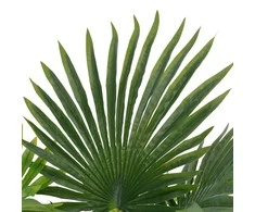 Dirbtinė palmė su vazonu, 70 cm, žalias