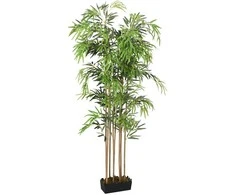 Dirbtinis bambukas, žalios spalvos, 80cm, 500 lapai