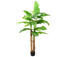 Dirbtinis bananmedis su vazonu, 140cm, žalias