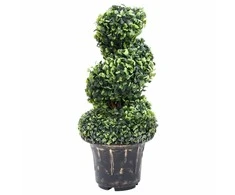 Dirbtinis buksmedis vazone, žalias, 59cm, spiralės formos
