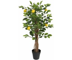 Dirbtinis citrinmedis su trimis kamienais, žalias, 85cm, PP