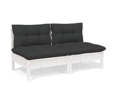Dvivietė sodo sofa su antracito pagalvėlėmis, pušies masyvas