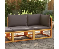 Dvivietė sodo sofa su pagalvėlėmis, akacijos medienos masyvas