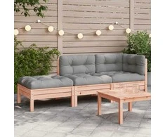Dvivietė sodo sofa su pagalvėlėmis ir pakoja
