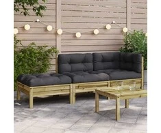 Dvivietė sodo sofa su pagalvėlėmis ir pakoja