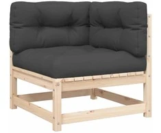 Dvivietė sodo sofa su pagalvėlėmis, pušies medienos masyvas