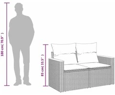 Dvivietė sodo sofa su pagalvėlėmis, smėlio spalvos, poliratanas