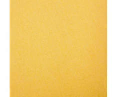 Dvivietė sofa, geltona, audinys