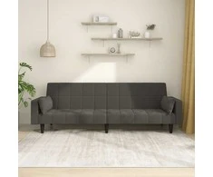 Dvivietė sofa-lova su dvejomis pagalvėmis, pilka, aksomas