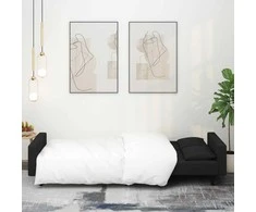 Dvivietė sofa-lova su dvejomis pagalvėmis, juoda, aksomas