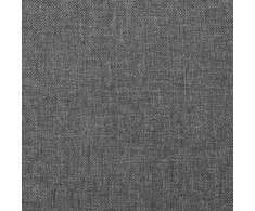 Dvivietė sofa-lova su dvejomis pagalvėmis, pilka, audinys