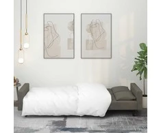 Dvivietė sofa-lova su dvejomis pagalvėmis, pilka, aksomas