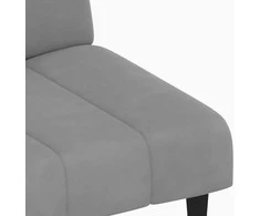 Dvivietė sofa-lova, šviesiai pilkos spalvos, aksomas
