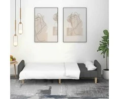 Dvivietė sofa-lova, tamsiai pilkos spalvos, audinys