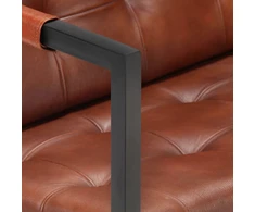 Dvivietė sofa, rudos spalvos, tikra ožkos oda