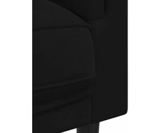 Dvivietė sofa su pagalvėlėmis, juodos spalvos, aksomas