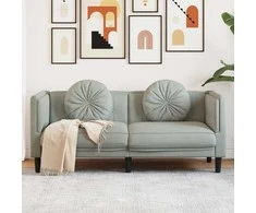 Dvivietė sofa su pagalvėlėmis, šviesiai pilkos spalvos, aksomas