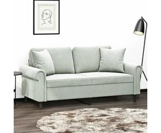 Dvivietė sofa su pagalvėlėmis, šviesiai pilka, 140cm, aksomas